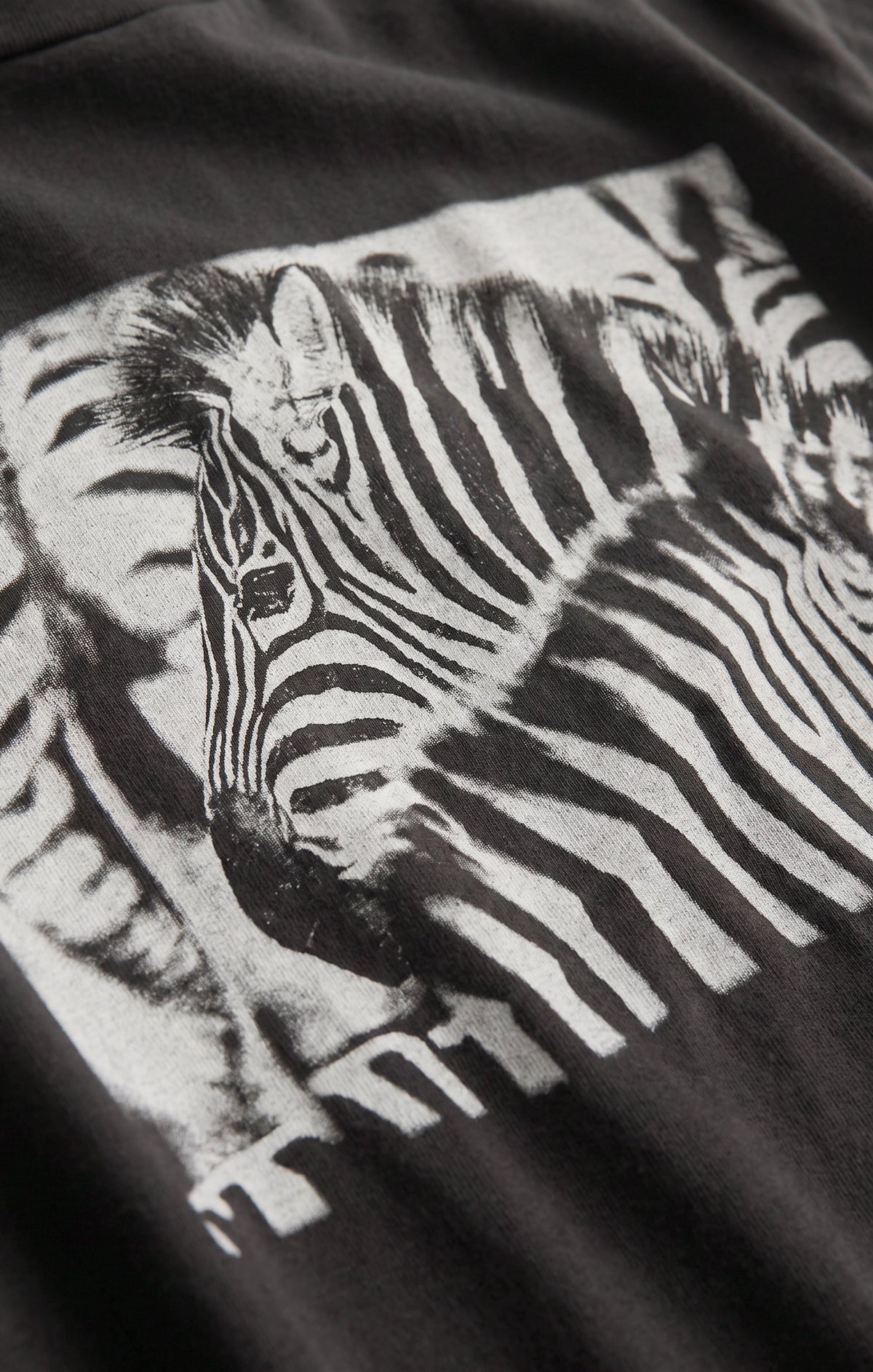 Zebra Graphic Boyfriend Tee