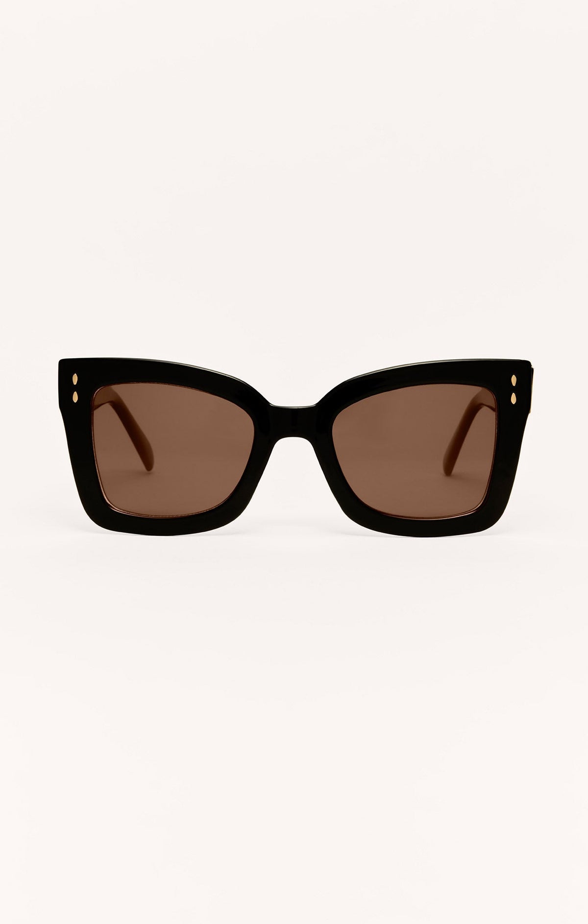 Confidential Polarized Sunglasses