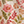 Cornelia Ami Floral Maxi Dress